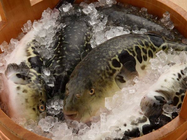 湯田温泉　湯の宿　味の宿　梅乃屋