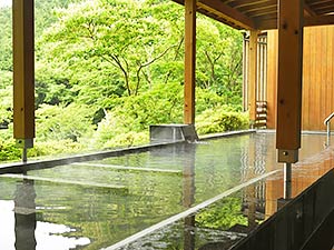 森の絶景露天風呂　熱海　森の温泉ホテル