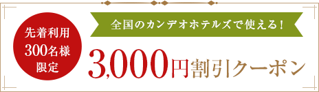 特集クーポン3,000円割引