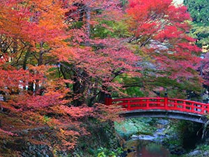 大寧寺
