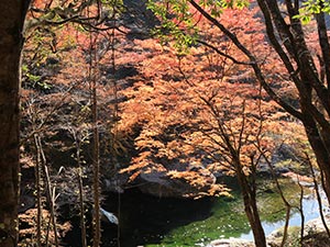 面河渓
