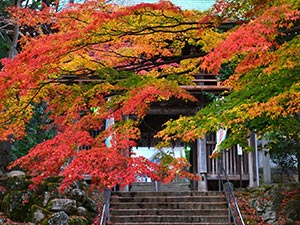 大窪寺