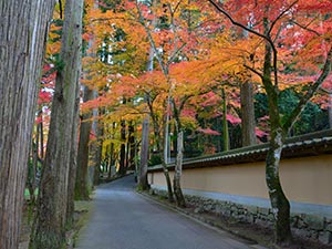 佛通寺