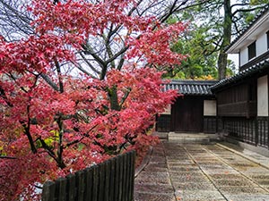 倉敷美観地区