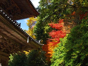 清水寺(島根県)