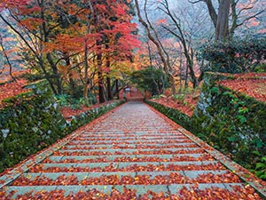 鰐淵寺