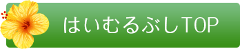 はいむるぶしTOP