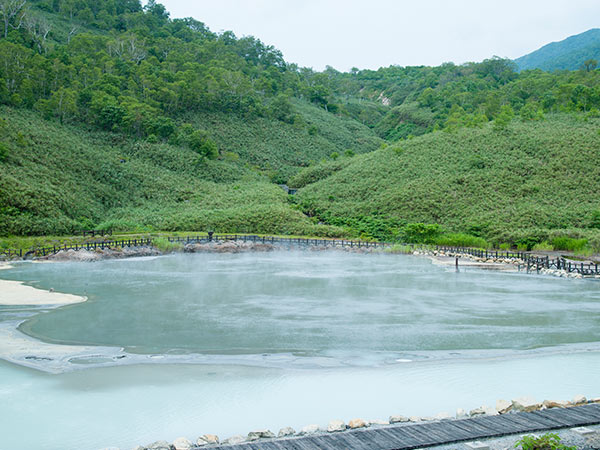 ニセコ湯本温泉の源泉が沸くニセコ大湯沼。真っ白い湯気が立ち上る