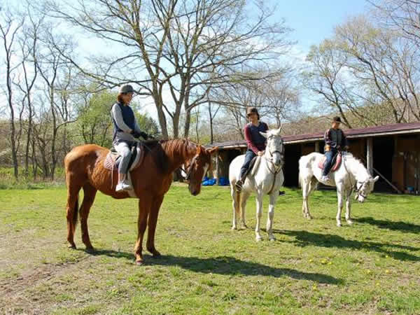 スパイス乗馬倶楽部