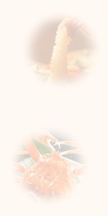 北陸特集