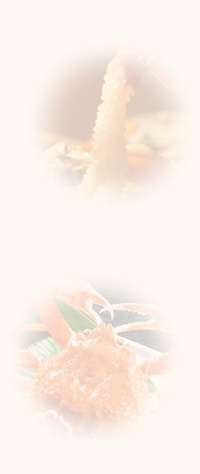 北陸特集