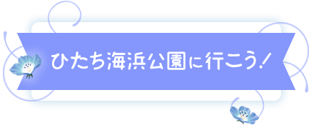 ひたち海浜公園に行こう！