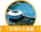 下田海中水族館