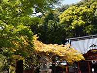 伊豆山神社