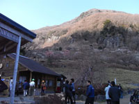湯河原梅林 梅の宴