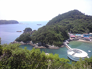 下田海中水族館