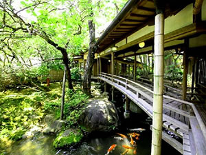 修善寺温泉　国の登録文化財の宿　新井旅館