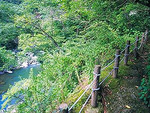 堂ヶ島温泉