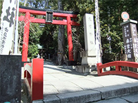 来宮神社