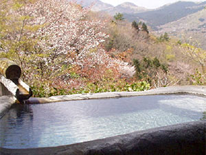 箱根強羅温泉　コージーイン　箱根の山