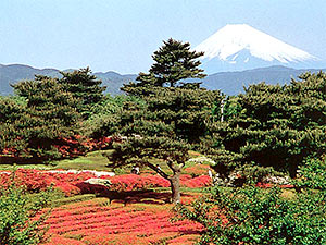 小室山公園