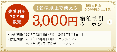 先着利用 70名様限定 3,000円割引クーポン