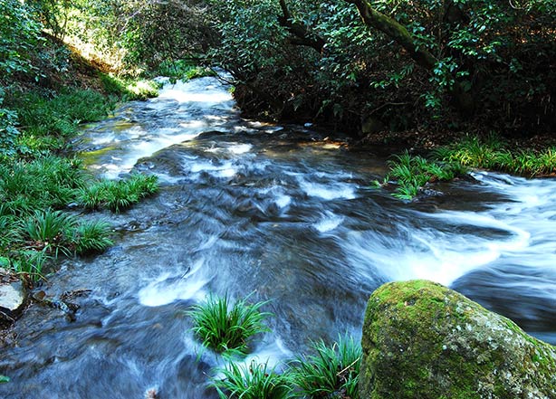 どんどん元気に！気になる阿蘇