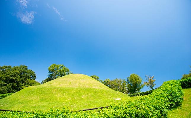 深呼吸して、まほろばサイクリング。