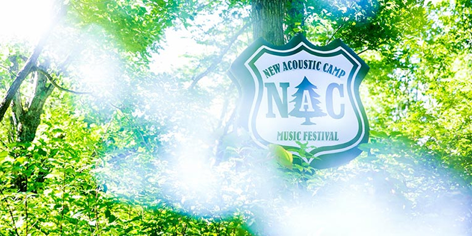 NEW ACOUSTIC CAMP