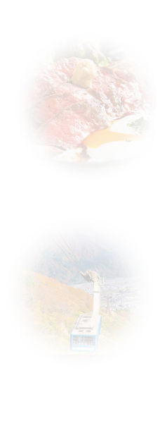 にいがた美食旅~食の宝庫にいがたで旬のグルメを堪能~