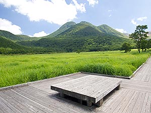 タデ原湿原