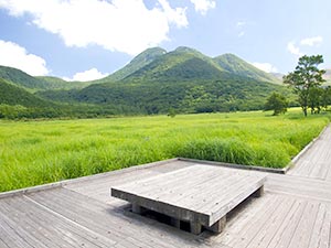 タデ原湿原