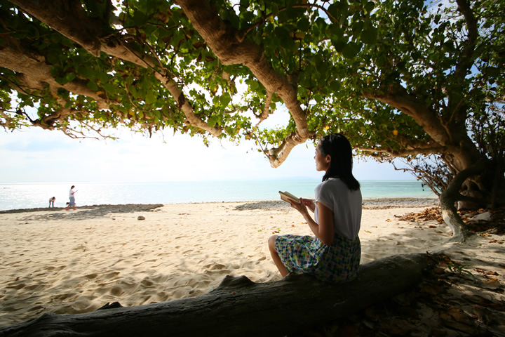 木陰でゆっくり本を読む星砂の浜として有名なカイジ浜にて