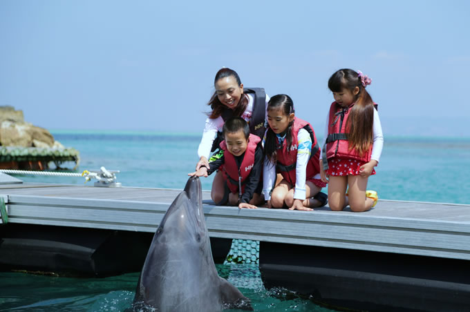 海に入らずにイルカとのふれあいを楽しめる「スマイルドルフィン」なら小さなお子様も安心