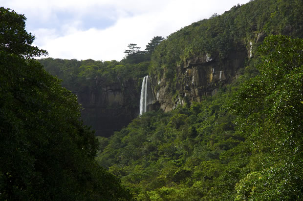 ジャングルの奥に位置する美しい滝