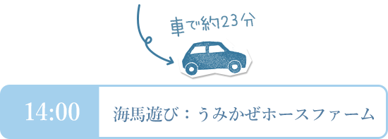 14:00　 海馬遊び：うみかぜホースファーム