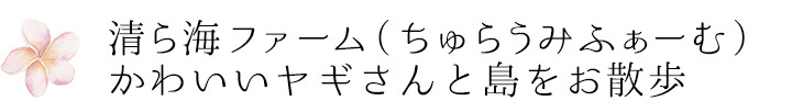 清ら海ファーム（ちゅらうみふぁーむ）かわいいヤギさんと島をお散歩