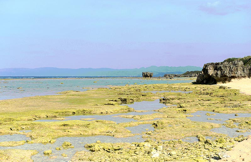 トケイ浜古宇利島の美しく楽しい天然ビーチ