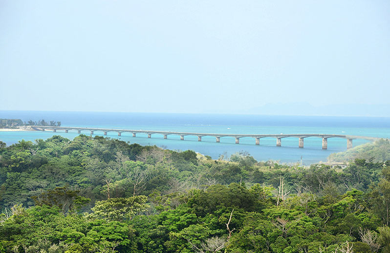 トケイ浜古宇利島の美しく楽しい天然ビーチ