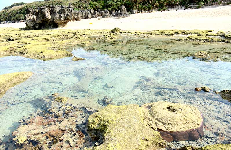 トケイ浜古宇利島の美しく楽しい天然ビーチ