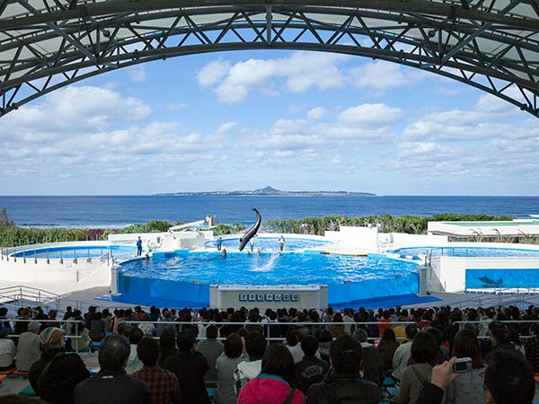 沖縄美ら海水族館