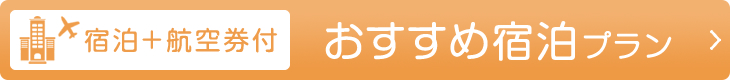 宿泊＋航空券付 おすすめ宿泊プラン