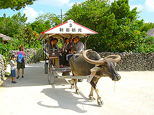 竹富島（石垣市）