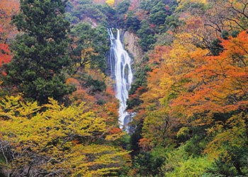 神庭の滝