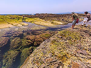 爪木崎・恵比須島