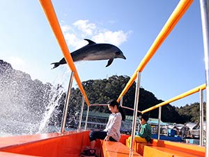 下田海中水族館