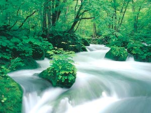 奥入瀬渓流