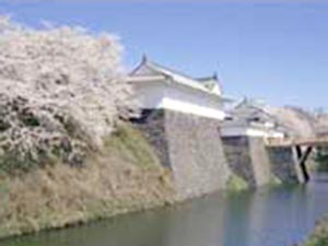 霞城公園
