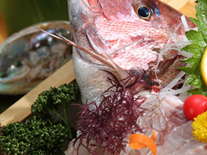 新鮮を食べる湯宿　大田家