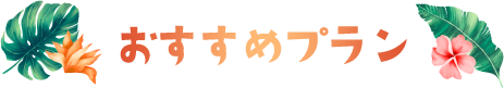 おすすめプラン